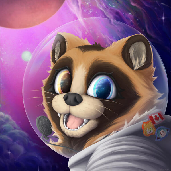 Tanukiyomi - birthday gift